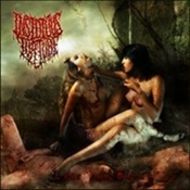 INSIDIOUS TORTURE - Lust & Decay